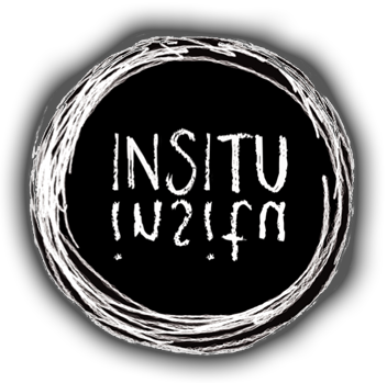 Insitu Logo